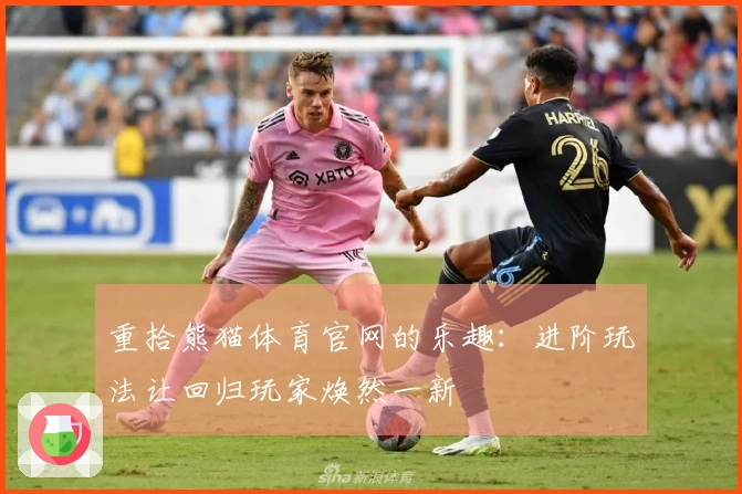 重拾熊猫体育官网的乐趣：进阶玩法让回归玩家焕然一新